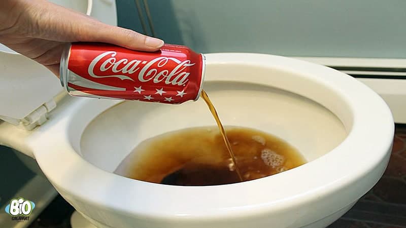 photo 2021 06 01 04 50 39